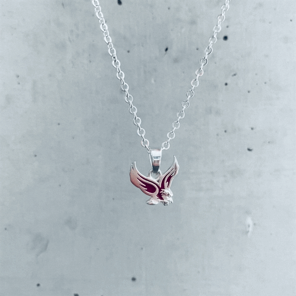 Boston College Eagles Pendant Necklace - Enamel