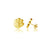 Clemson University Stud Earrings - Gold