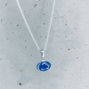 Penn State University Pendant Necklace - Enamel