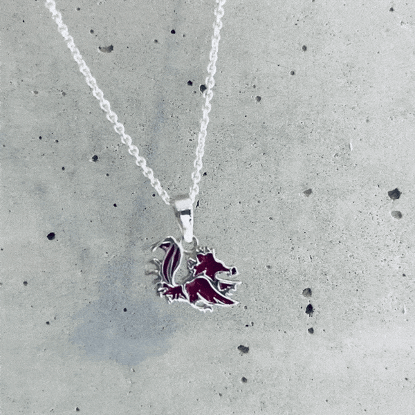 University of South Carolina Pendant Necklace - Enamel