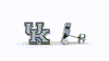 University of Kentucky Stud Earrings - Silver
