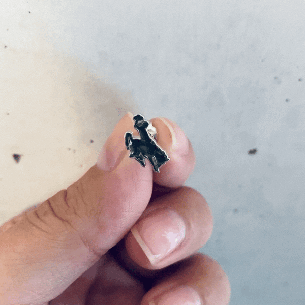 University of Wyoming Stud Earrings - Enamel