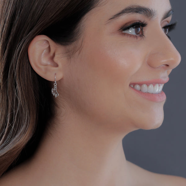 University of Wyoming Dangle Earrings - Enamel