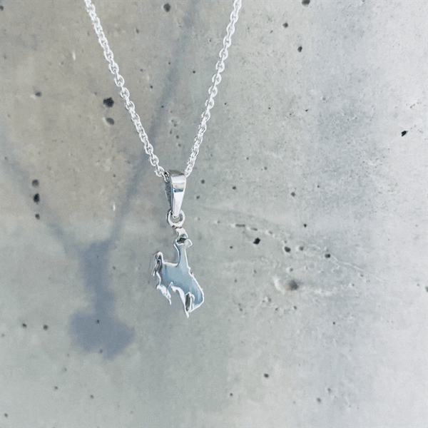 University of Wyoming Pendant Necklace - Silver