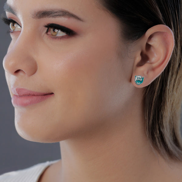 Baylor Bears Stud Earrings - Silver