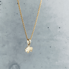 Buffalo Necklace - Gold