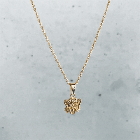 Brigham Young Cougars Pendant Necklace - Gold Plated
