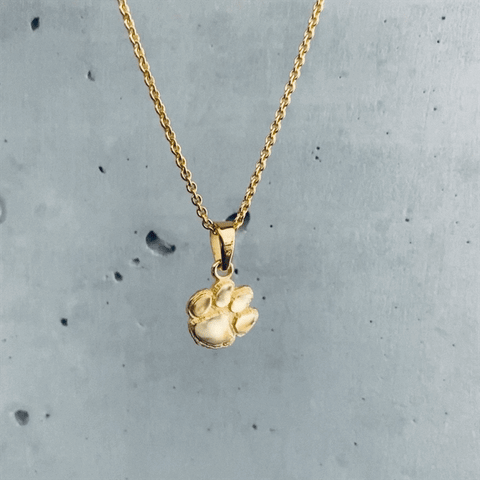 Clemson University Pendant Necklace - Gold
