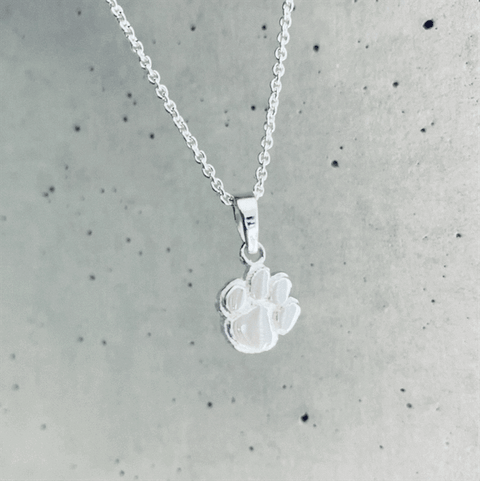 Clemson University Pendant Necklace