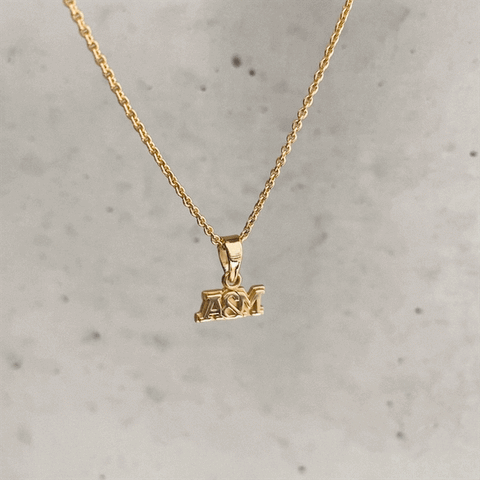 Florida A&M Rattlers Pendant Necklace - Gold Plated