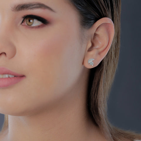 Michigan State University Stud Earrings - Silver