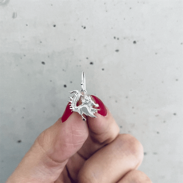 University of South Carolina Dangle Earrings - Silver