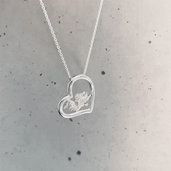 University of South Carolina Heart Necklace - Silver