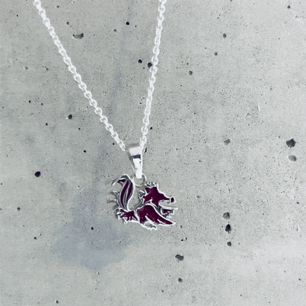 University of South Carolina Pendant Necklace - Enamel