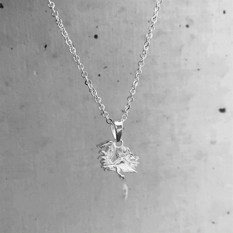 University of South Carolina Pendant Necklace - Silver