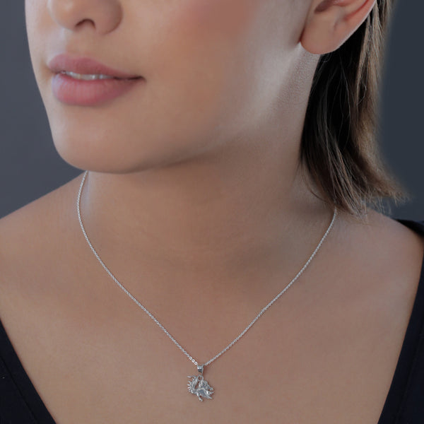 University of South Carolina Pendant Necklace - Silver