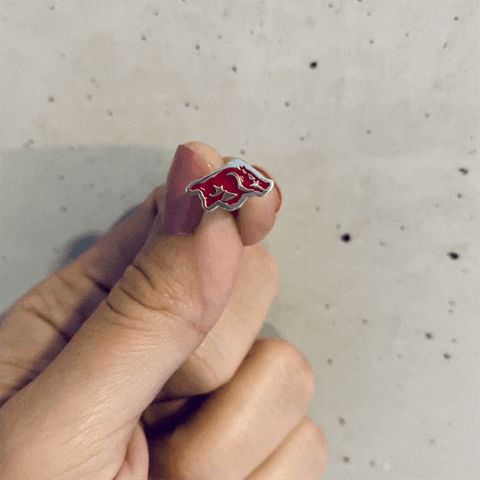 University of Arkansas Razorbacks Stud Earrings - Enamel