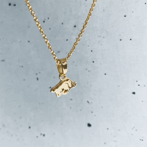 University of Arkansas Razorbacks Pendant Necklace - Gold