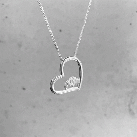 Colorado Buffaloes Heart Pendant Necklace