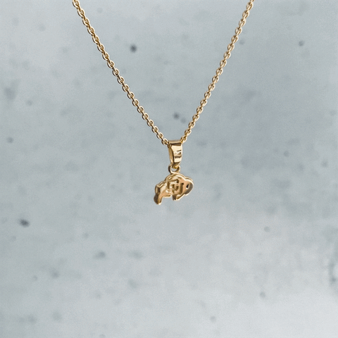 Colorado Buffaloes Pendant Necklace - Gold