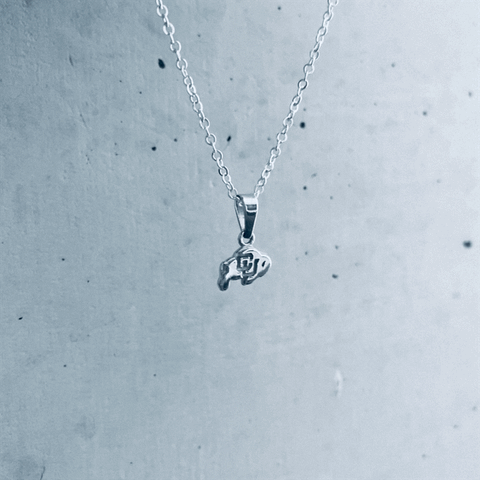 Colorado Buffaloes Pendant Necklace