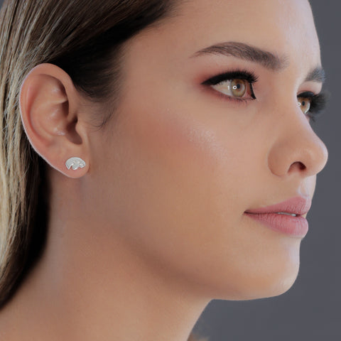 University of Iowa Stud Earrings - Silver