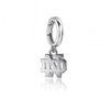 University of Notre Dame Bracelet Charm
