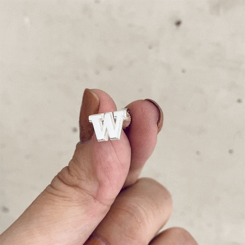 Washington Huskies Stud Earrings - Silver