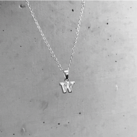Washington Huskies Pendant Necklace - Silver