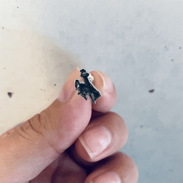 University of Wyoming Stud Earrings - Enamel