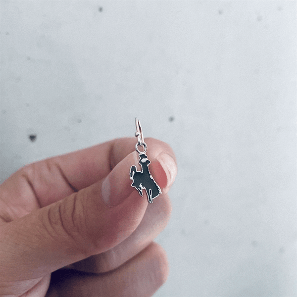 University of Wyoming Dangle Earrings - Enamel