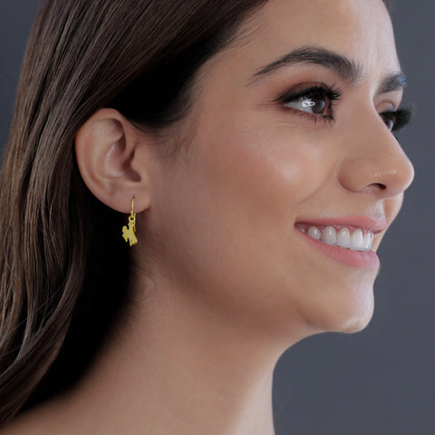 University of Wyoming Dangle Earrings - Gold