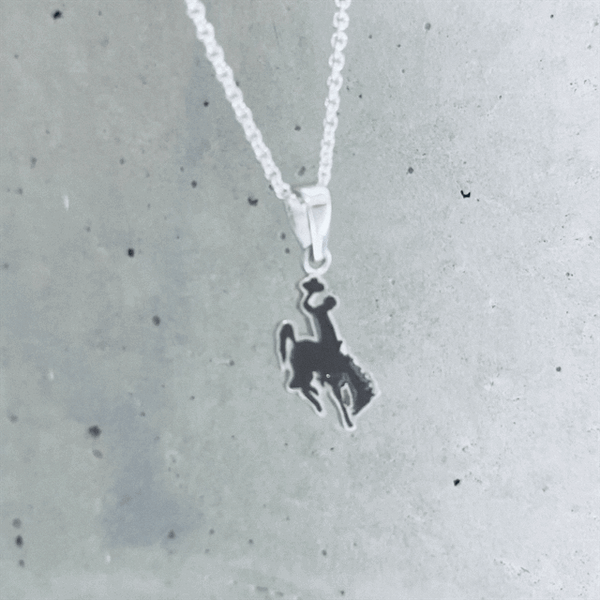 University of Wyoming Pendant Necklace - Enamel