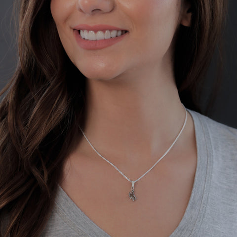 University of Wyoming Pendant Necklace - Enamel