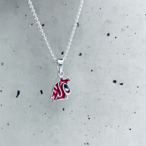 Washington State Cougars Pendant Necklace - Enamel