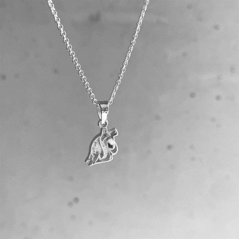 Washington State Cougars Pendant Necklace - Silver