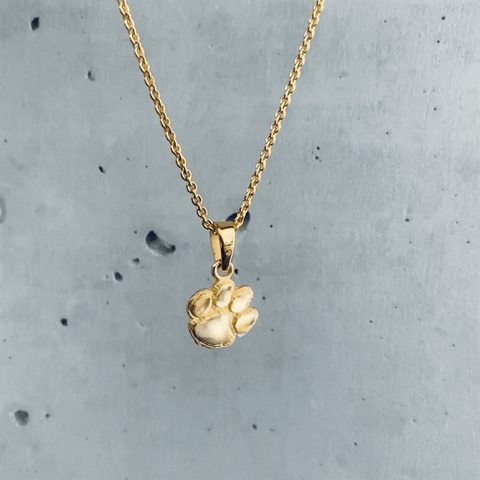 Clemson University Pendant Necklace - Gold Plated