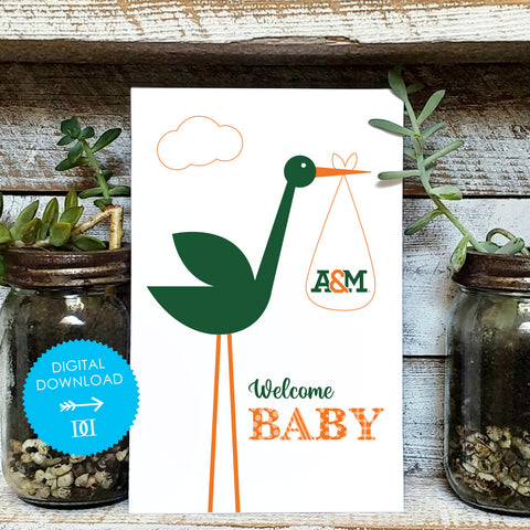 Florida A&M Rattlers Baby Card - Digital Download