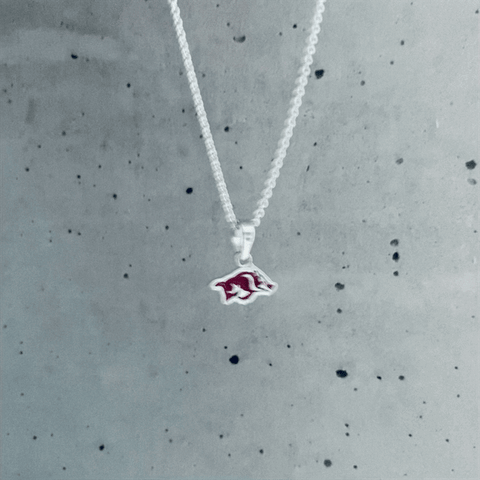 University of Arkansas Razorbacks Pendant Necklace - Enamel