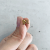 University of Michigan Stud Earrings - Gold